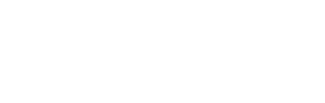 Salt &amp; Ash Soap Co