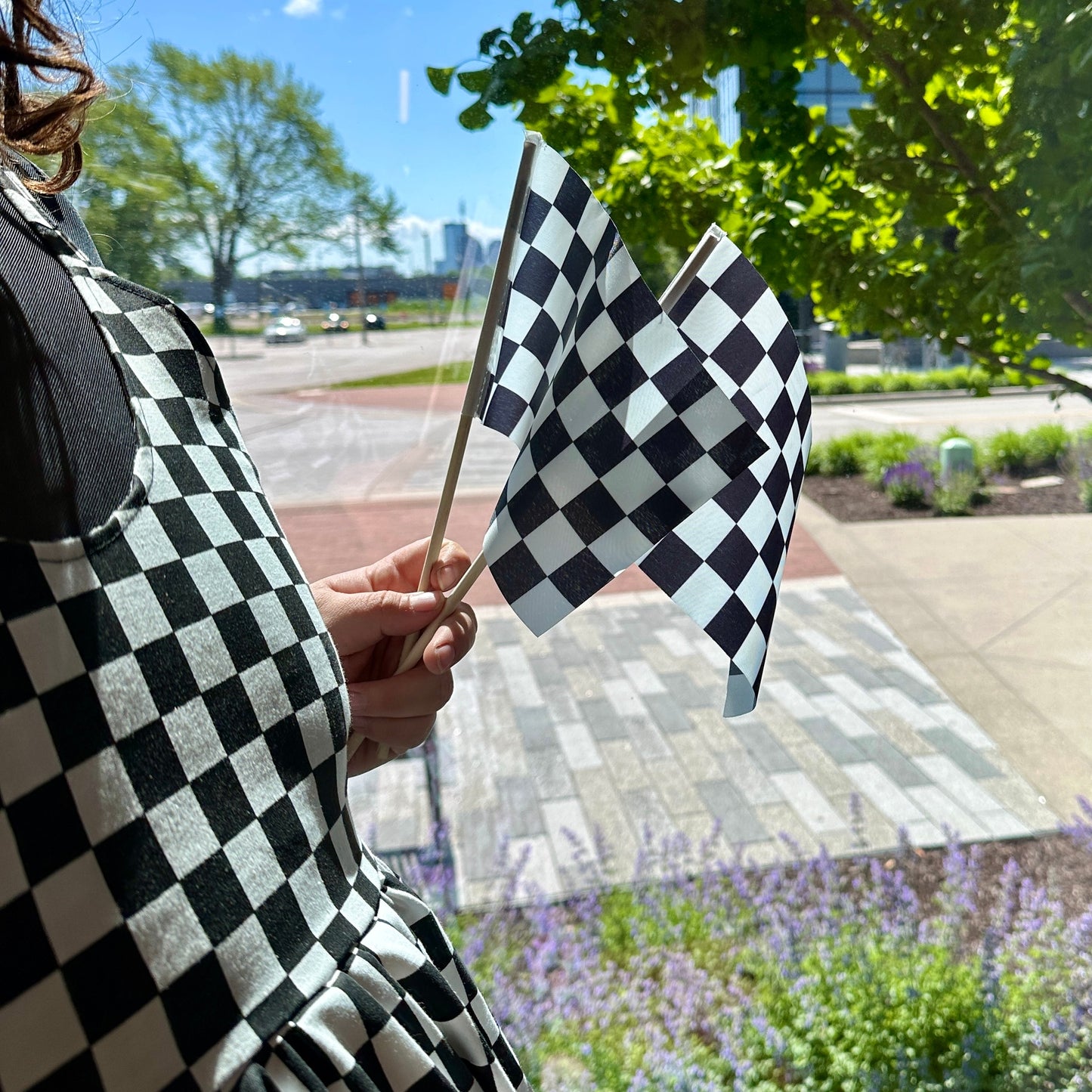 Checkered Racing Stick Flags