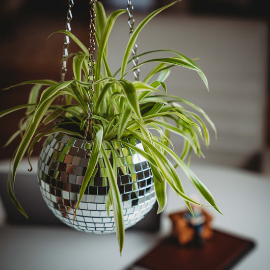 Hanging Disco Ball Planter