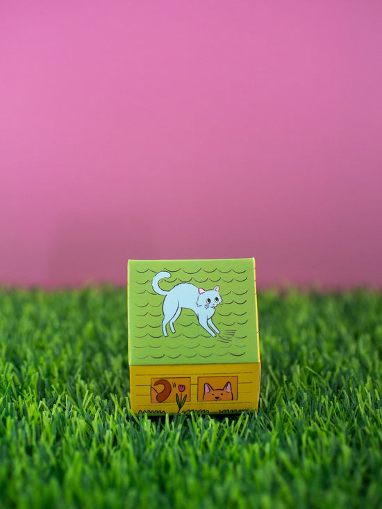 Doghouse Matches Matchbox