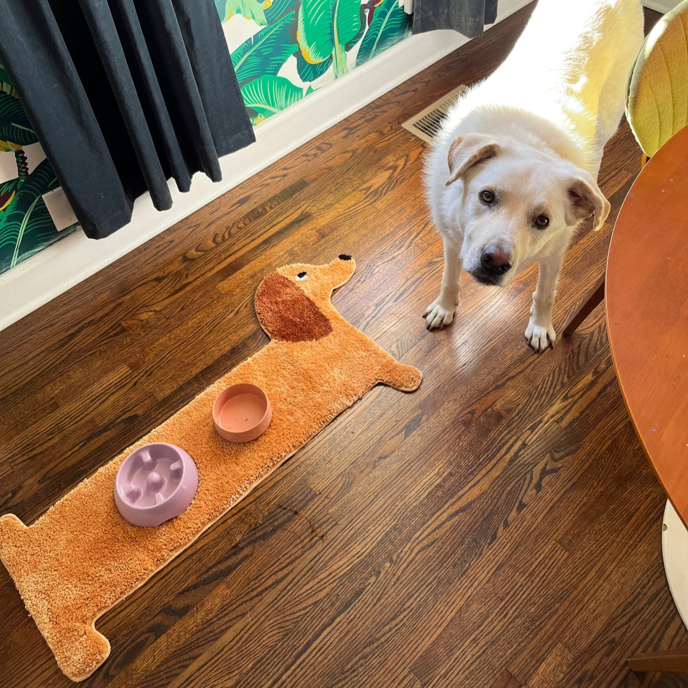 Dog Rug