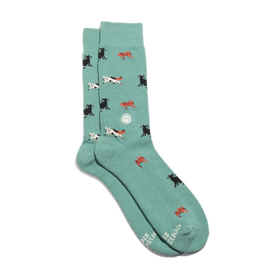 Socks That Save Cats