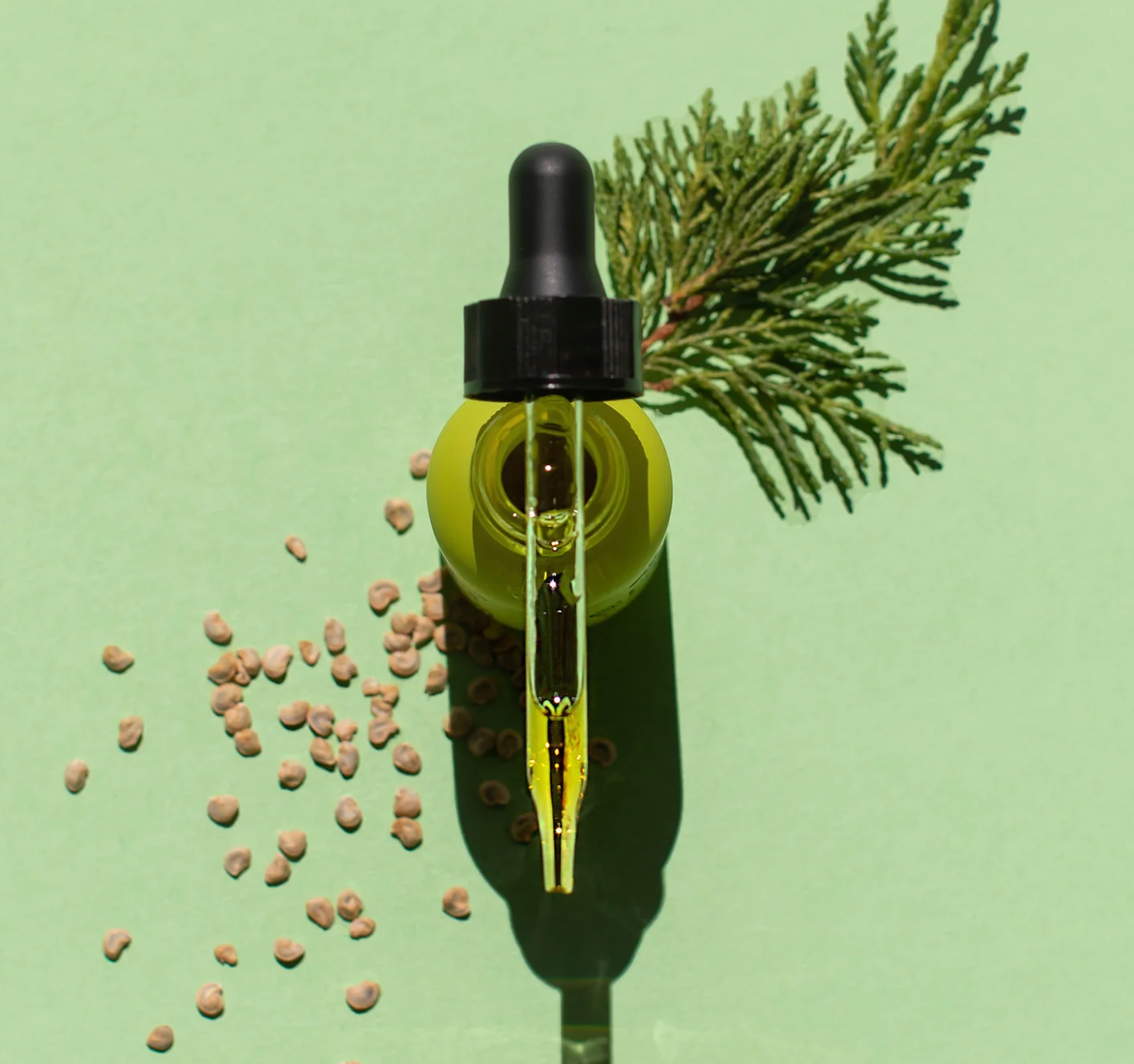 Juniper Carrot Seed Face Oil