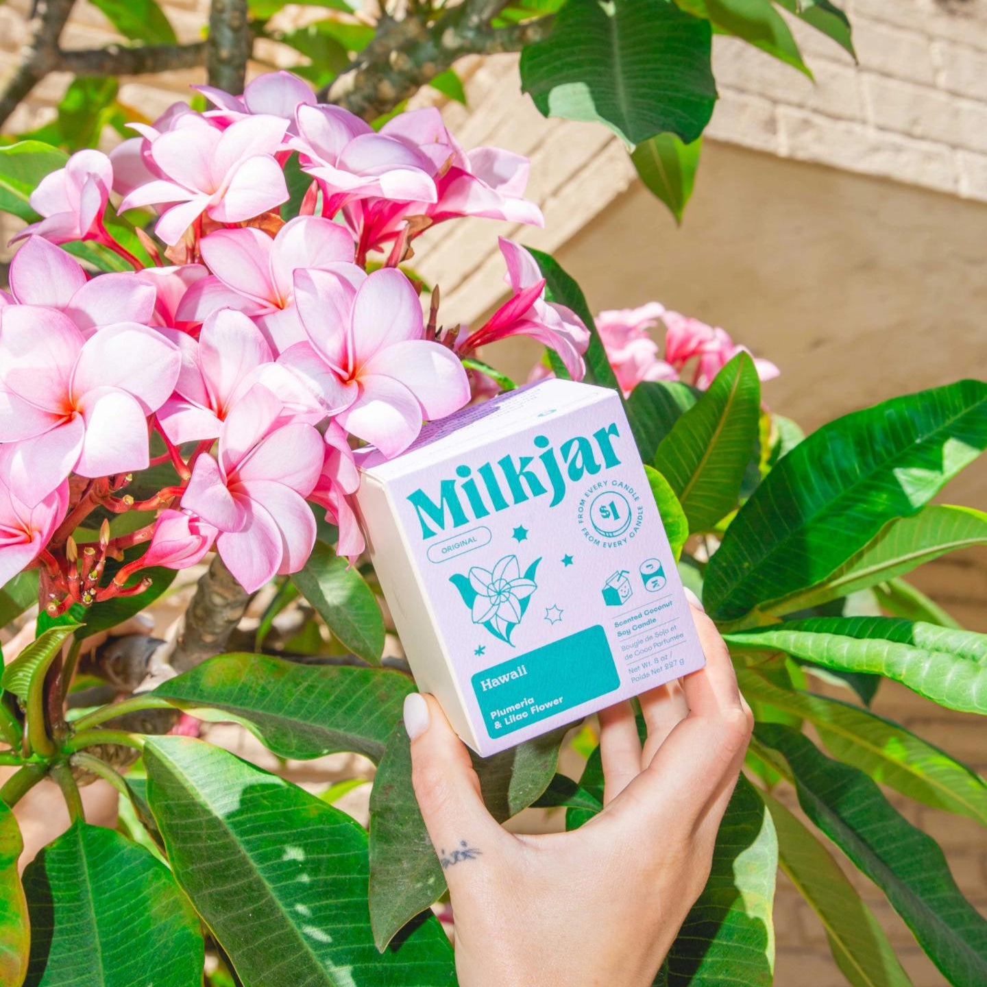 Hawaii Coconut Soy Wax Candle - Plumeria & Lilac Flower