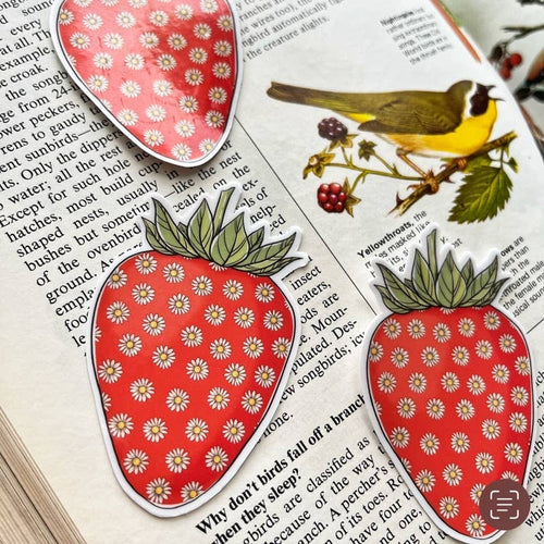Strawberry Daisy, Vinyl Sticker